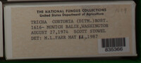Image Associated With the Occurence